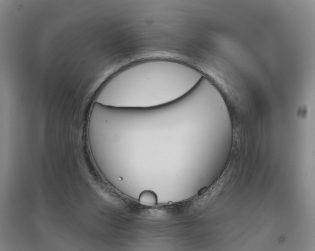 X0000094460159200711081107