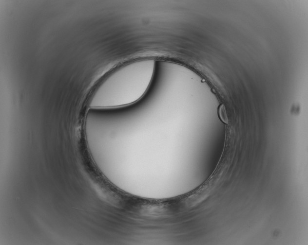 X0000094460160200711081107