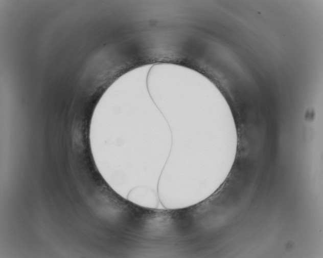 X0000094460162200711081107