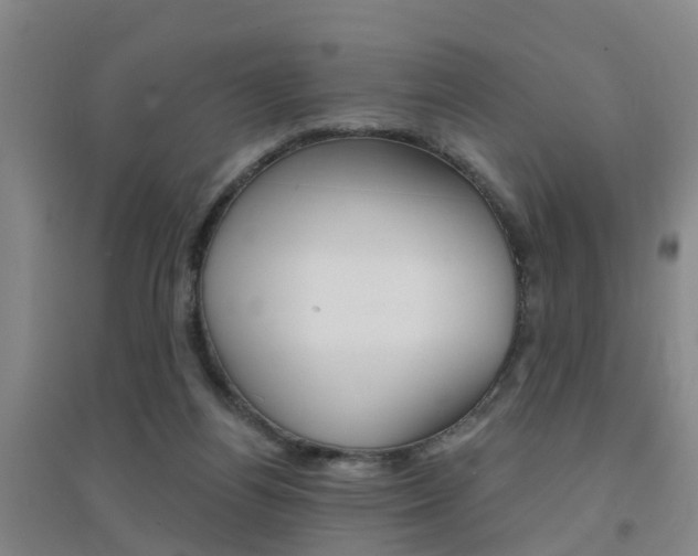 X0000094460164200711081107