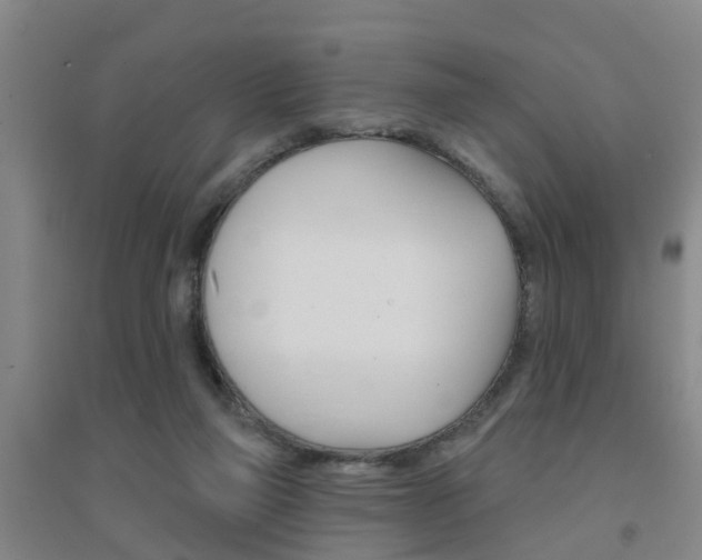 X0000094460165200711081107