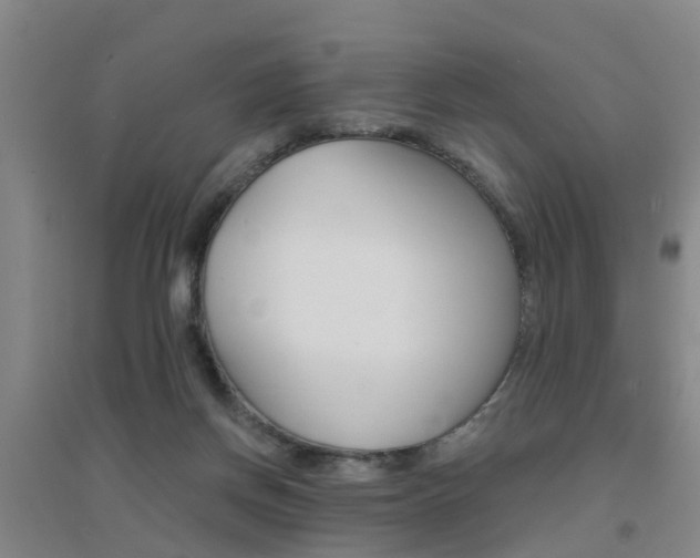 X0000094460166200711081107