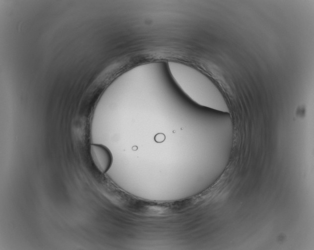 X0000094460167200711081107