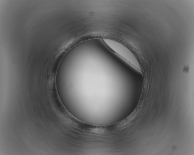X0000094460168200711081107