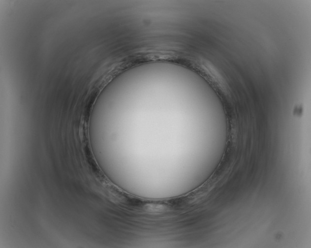 X0000094460169200711081107