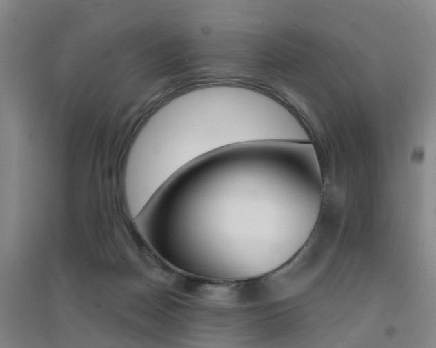 X0000094460170200711081107