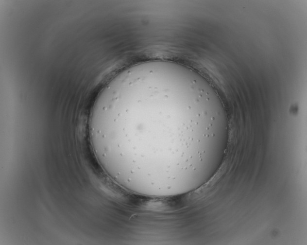 X0000094460171200711081107