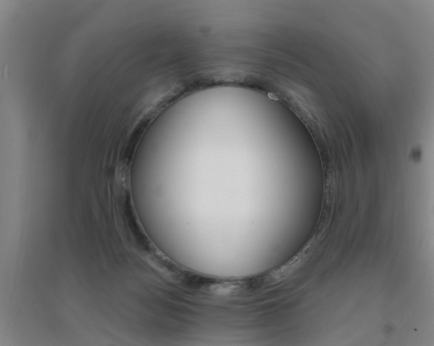 X0000094460172200711081107