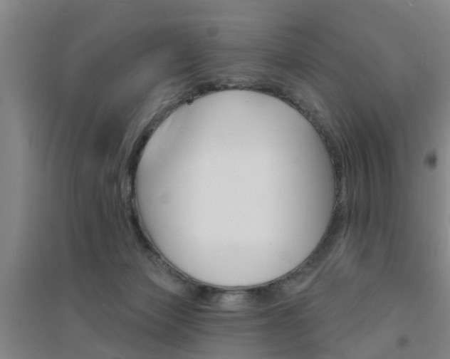 X0000094460173200711081107