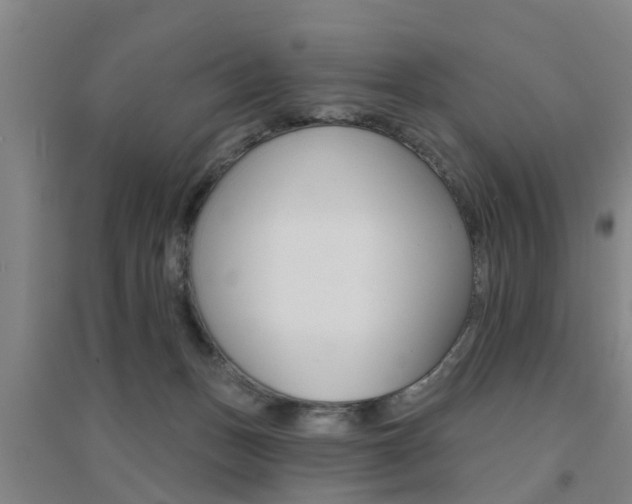 X0000094460175200711081107