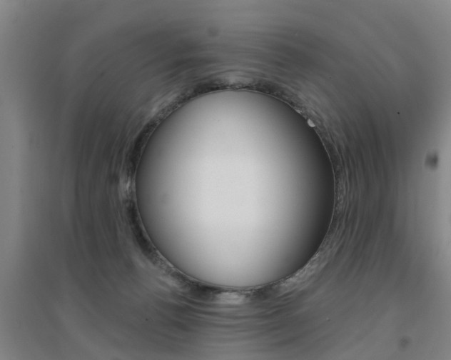 X0000094460176200711081107