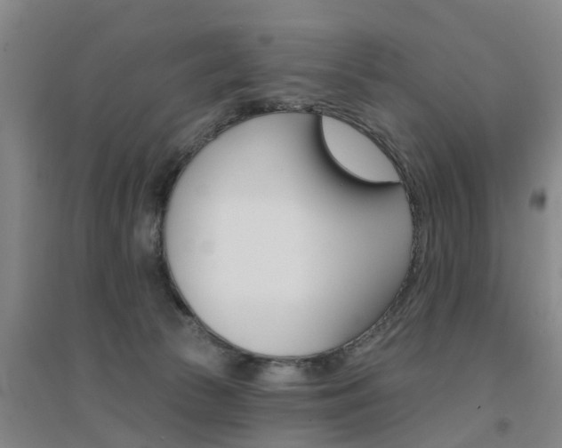 X0000094460177200711081107