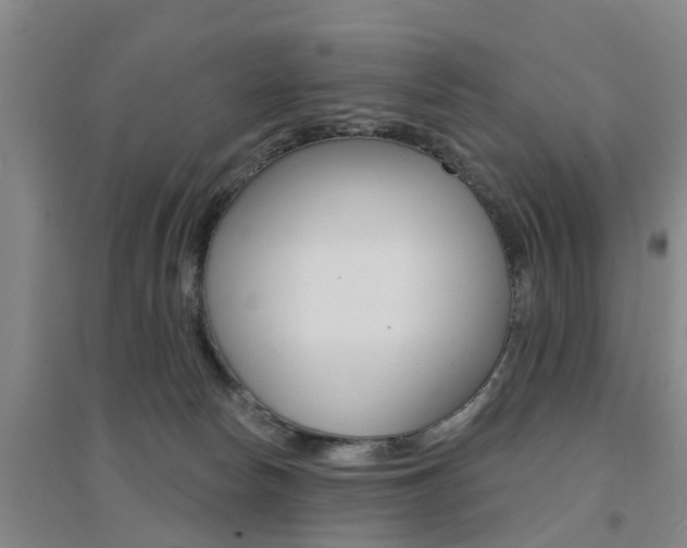 X0000094460178200711081107