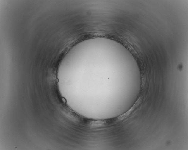 X0000094460179200711081107