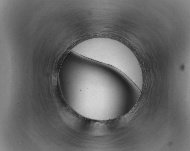 X0000094460180200711081107