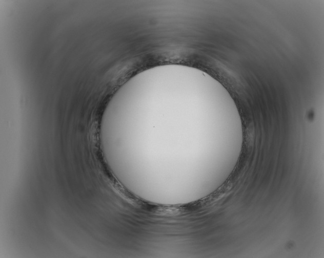 X0000094460181200711081107