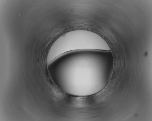 X0000094460184200711081107