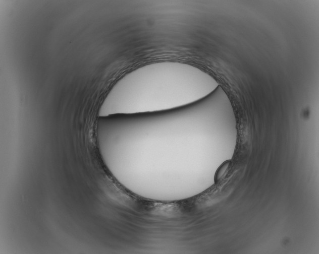 X0000094460185200711081107