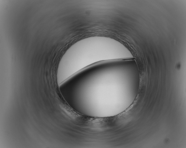 X0000094460186200711081107