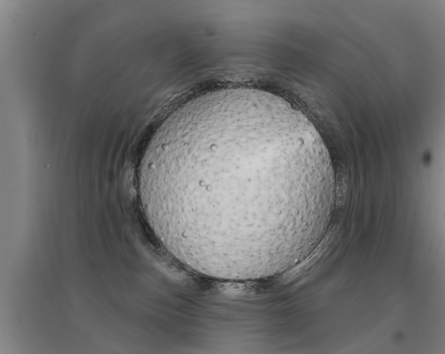 X0000094460187200711081107