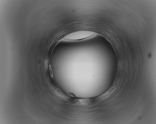 X0000094460188200711081107