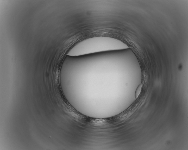 X0000094460189200711081107