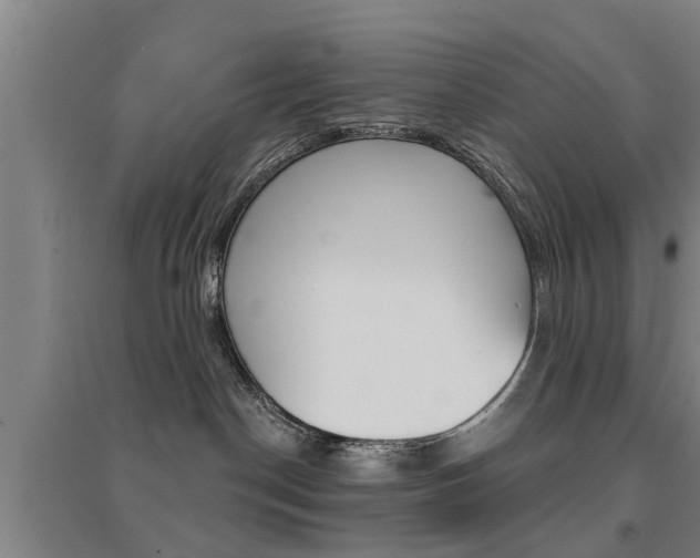 X0000094460190200711081107
