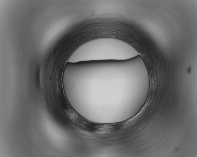 X0000094460191200711081107