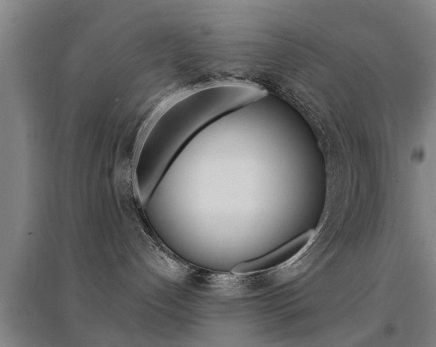 X0000094460192200711081107