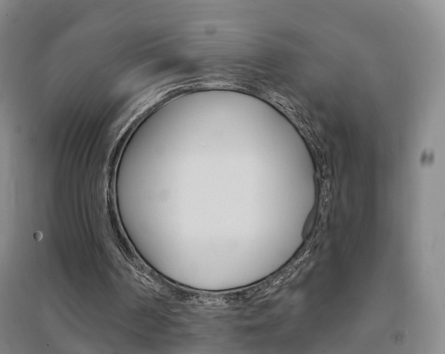 X0000094460194200711081107