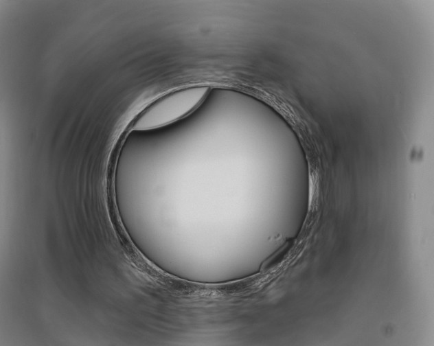 X0000094460195200711081107