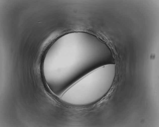 X0000094460197200711081107