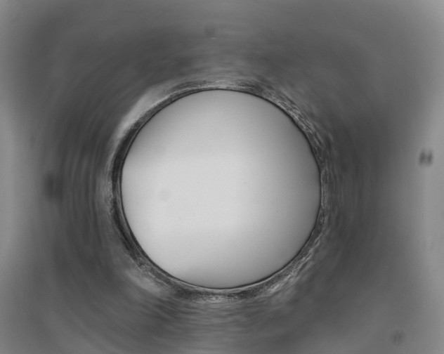 X0000094460198200711081107