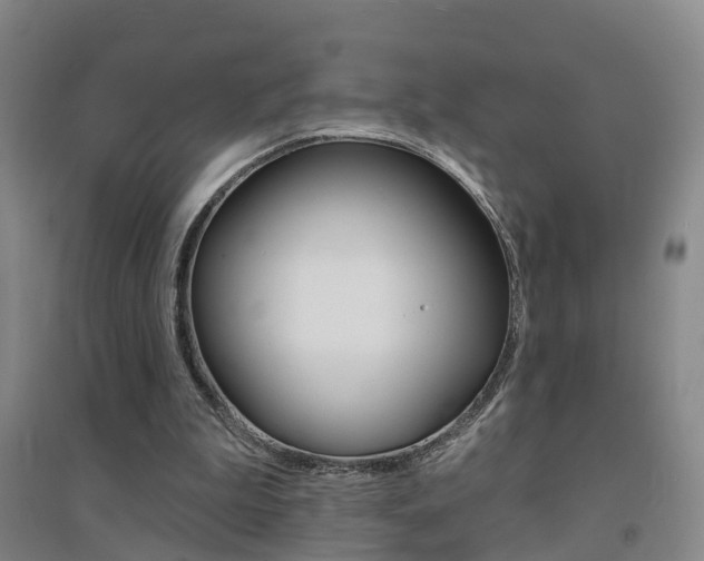 X0000094460199200711081107