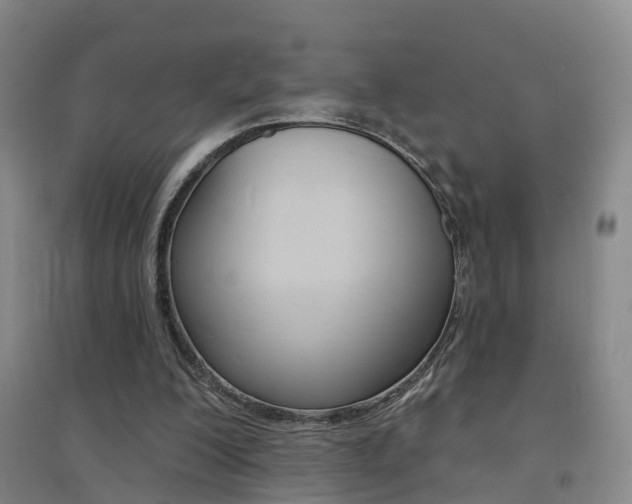 X0000094460200200711081106