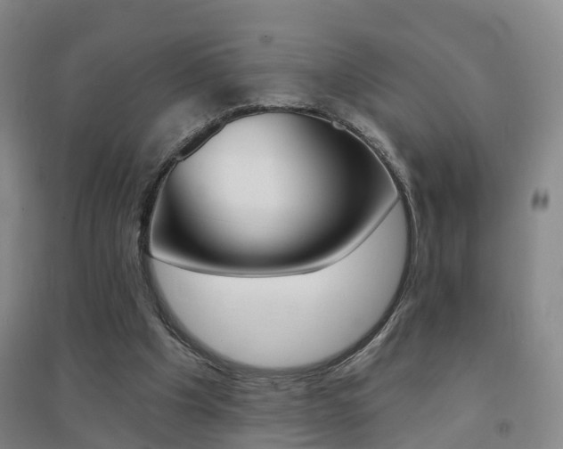 X0000094460201200711081106