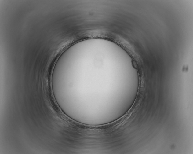 X0000094460202200711081106