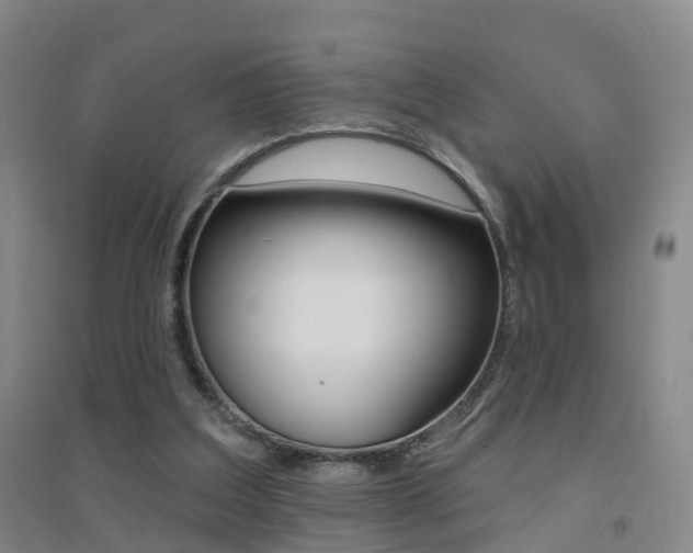 X0000094460203200711081106