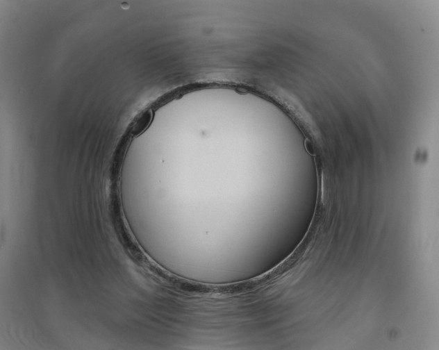X0000094460204200711081106