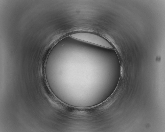 X0000094460205200711081106