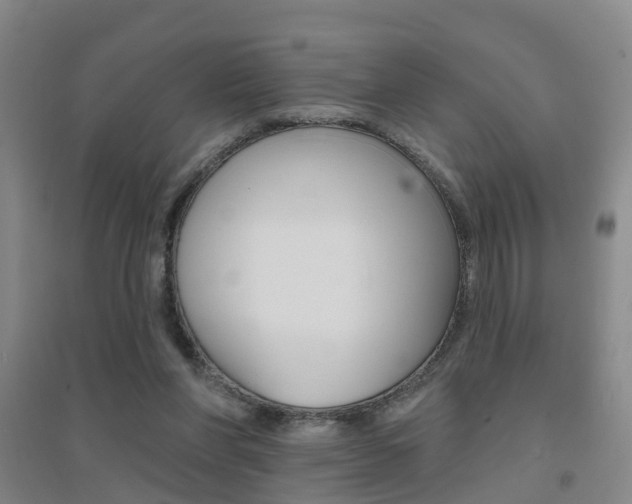 X0000094460206200711081106