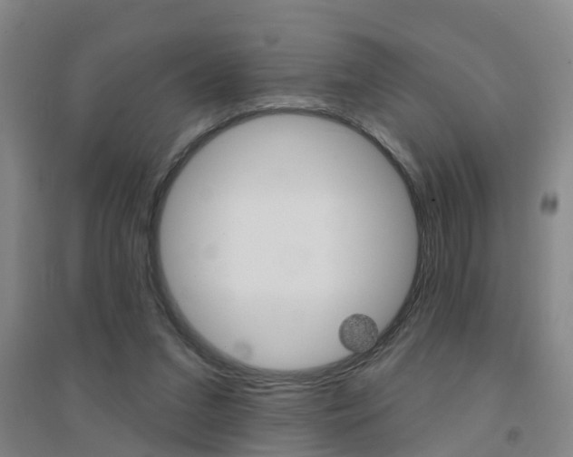 X0000094460207200711081106