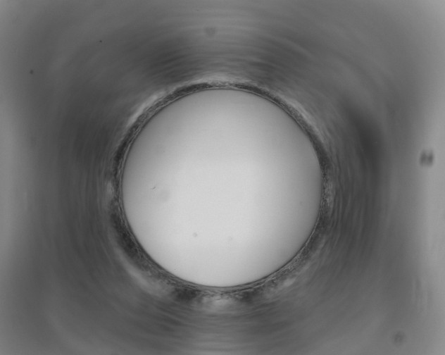 X0000094460208200711081106