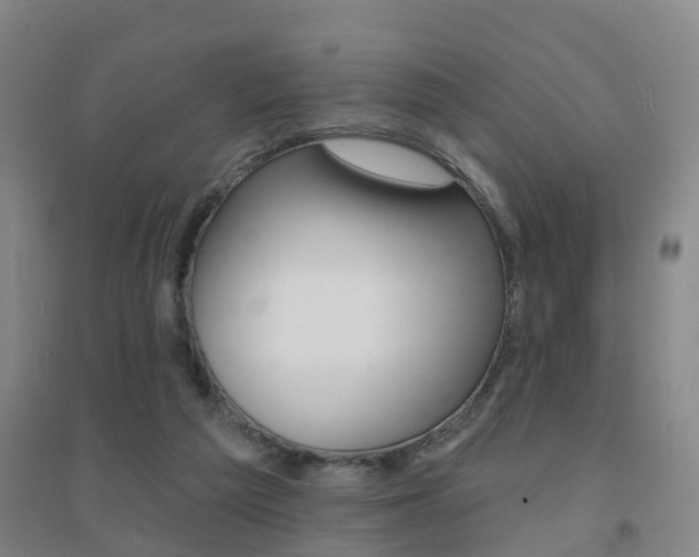 X0000094460209200711081106