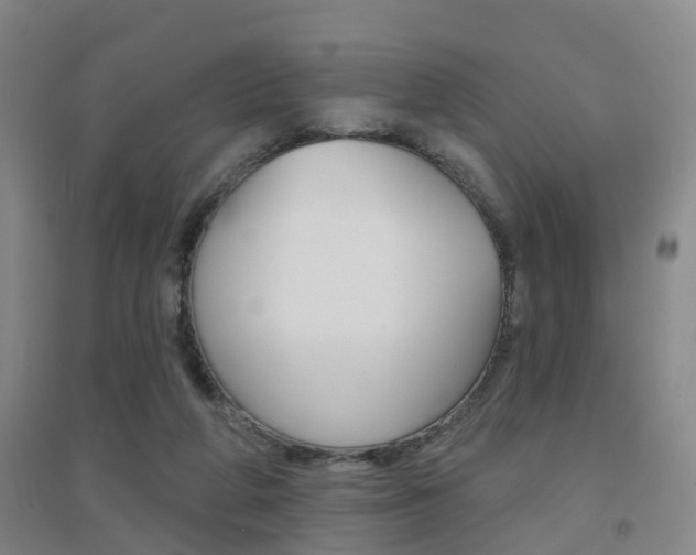X0000094460210200711081106