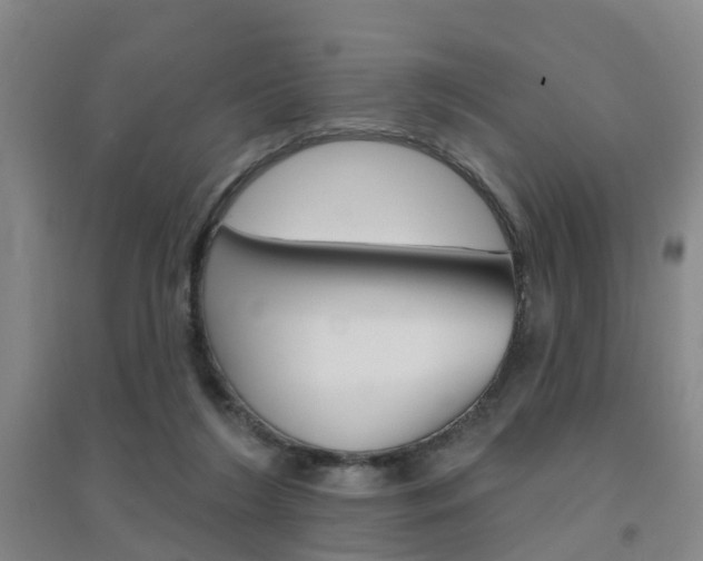 X0000094460212200711081106