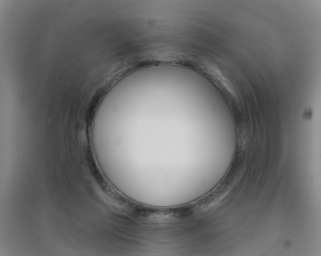 X0000094460213200711081106