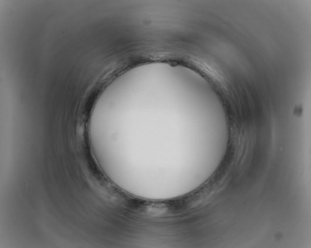 X0000094460214200711081106