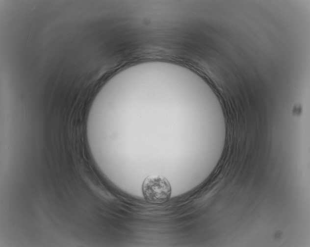X0000094460215200711081106