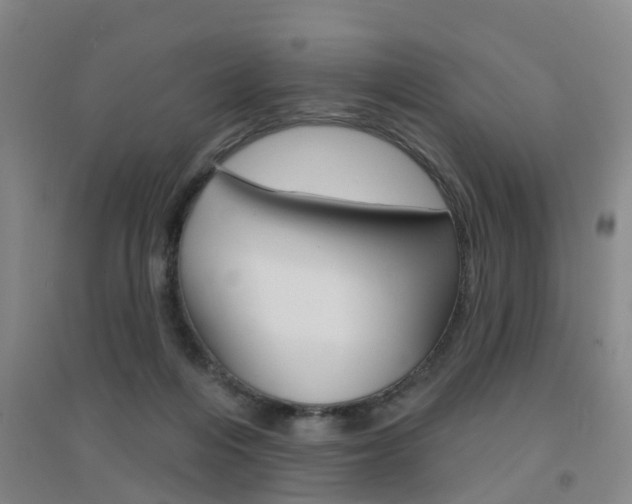 X0000094460216200711081106